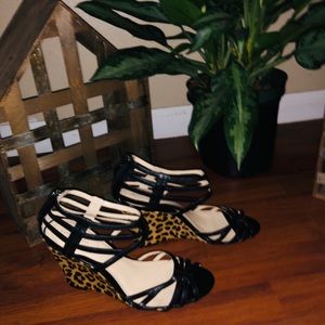 Leopard Lovers Delight